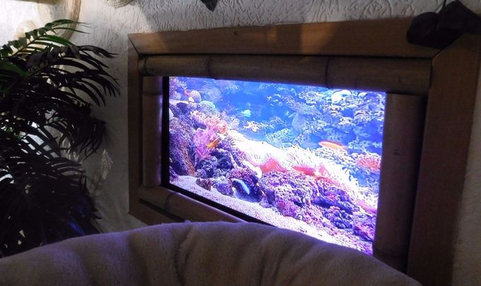 Damit Keine Langeweile aufkommt hat Unser Gemeinschaftsraum nun ein animiertes Meerwasser-Aquarium !